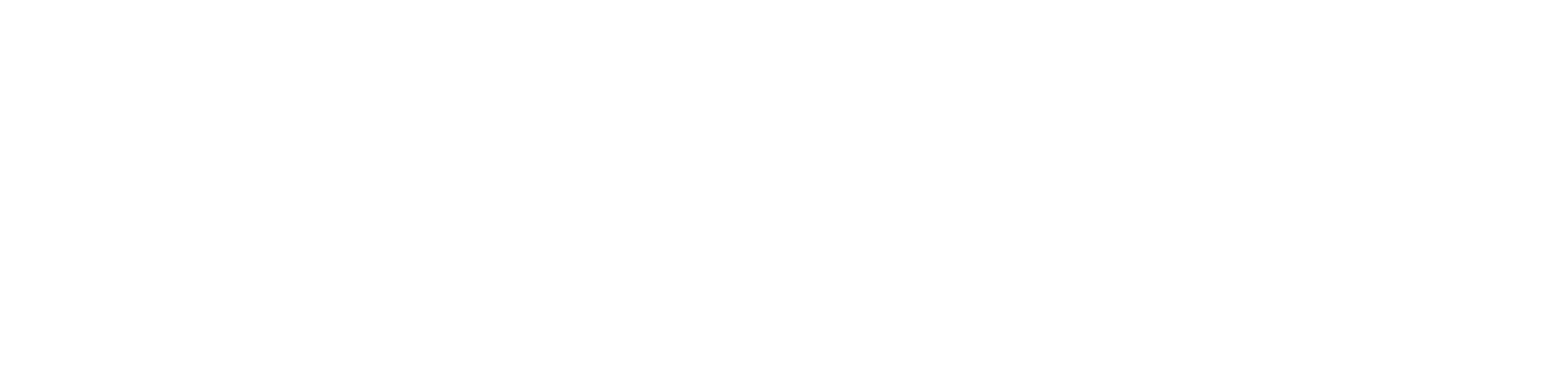 VSSM Logo weiss